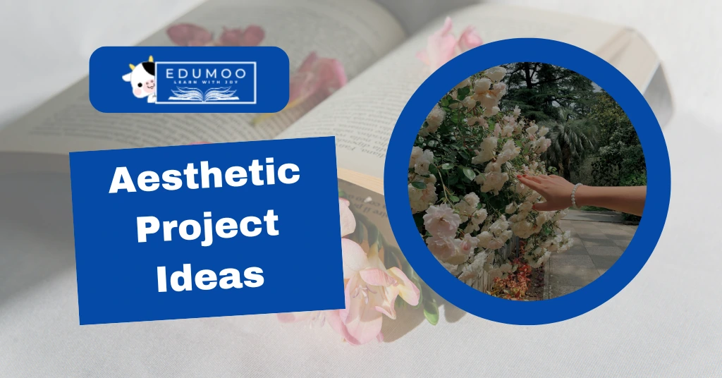 111+ Aesthetic Project Ideas [Updated]