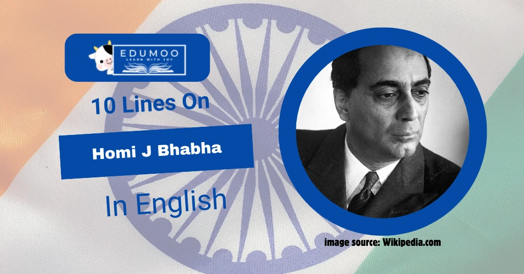 10 Lines On Homi J Bhabha In English