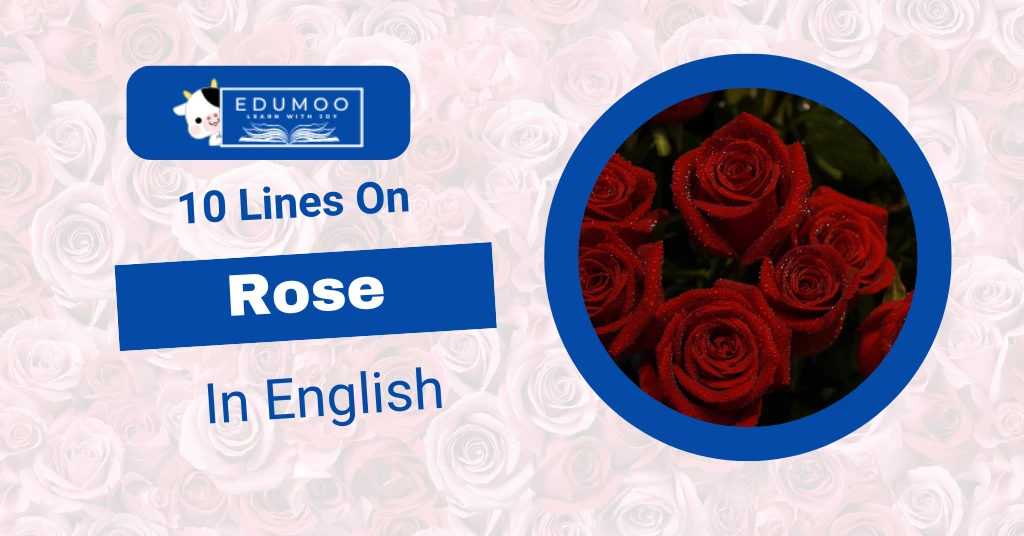 10 lines on rose