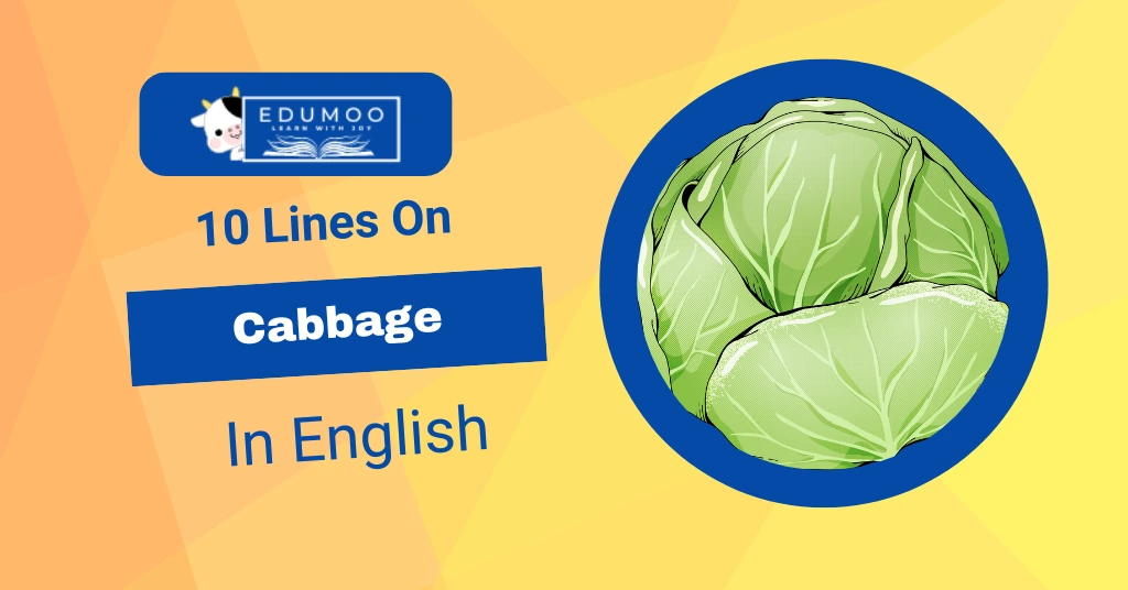 10 Lines On Cabbage