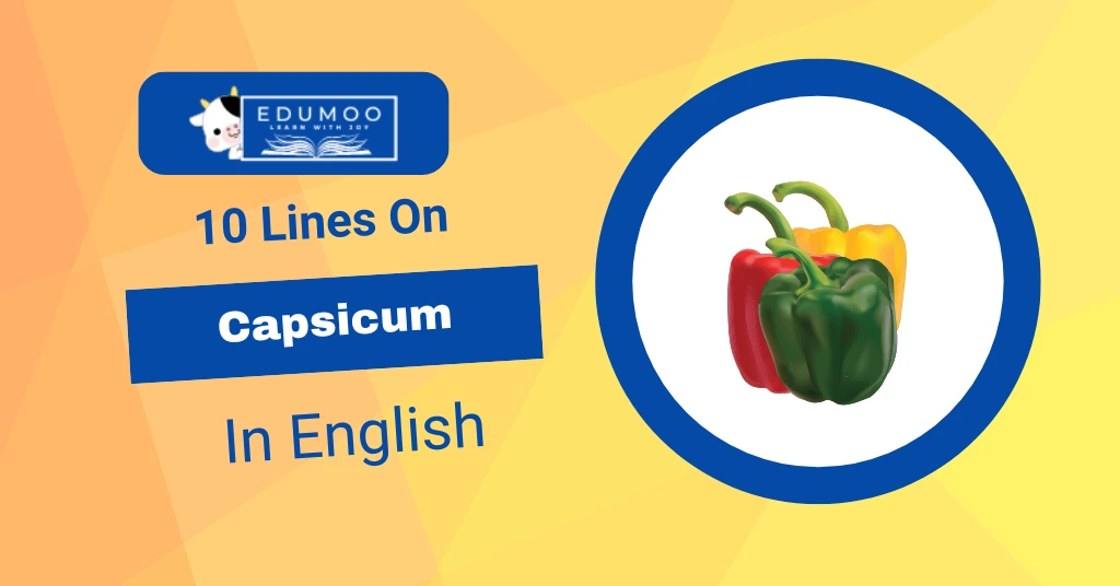 10 Lines On Capsicum