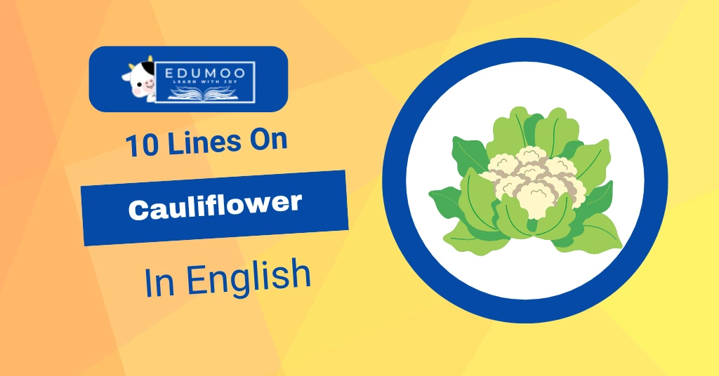 10 Lines On Cauliflower