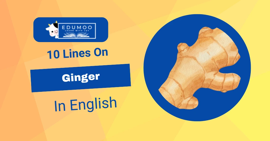 10 Lines On Ginger