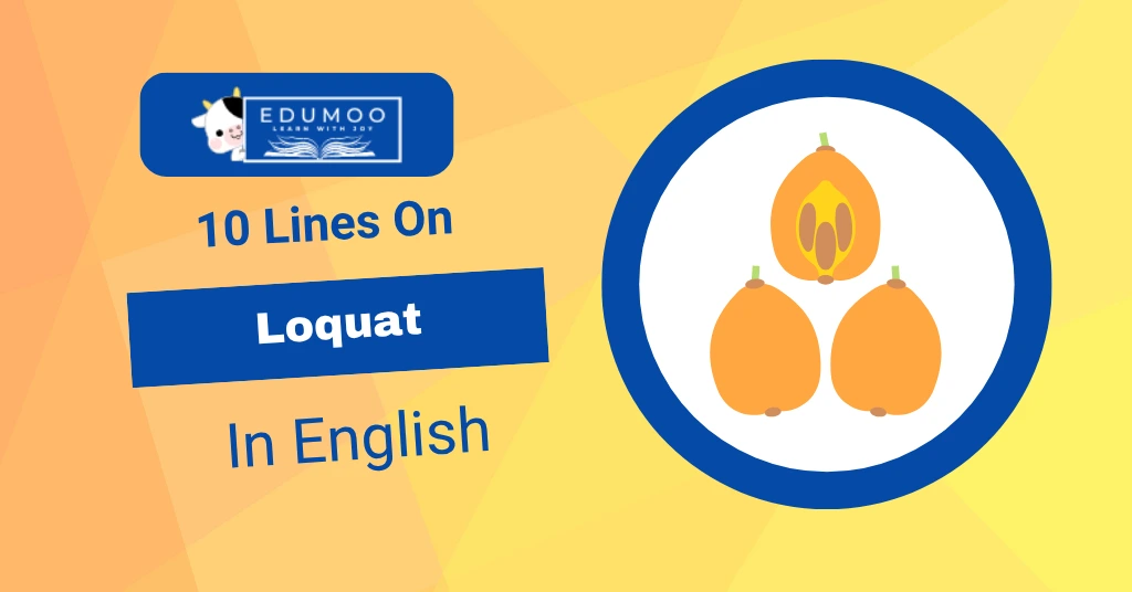 10 Lines On Loquat