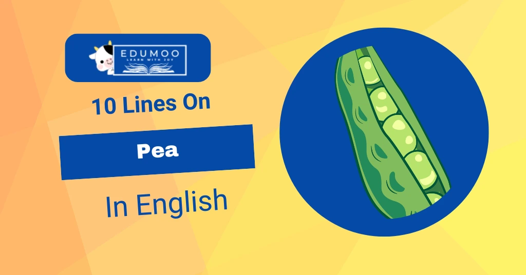 10 Lines On Pea