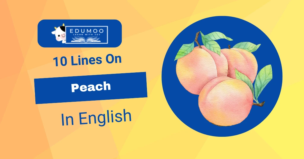 10 Lines On Peach