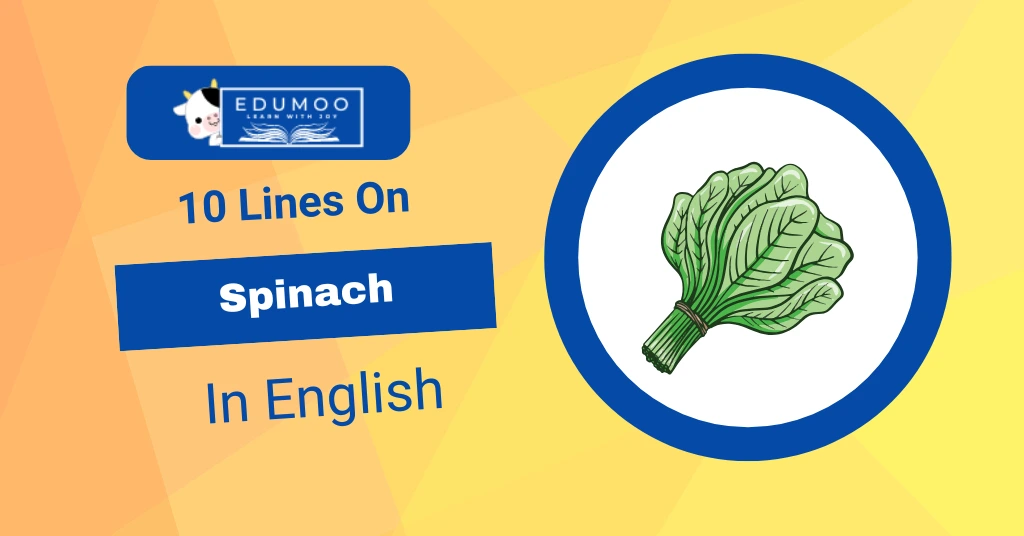 10 Lines On Spinach