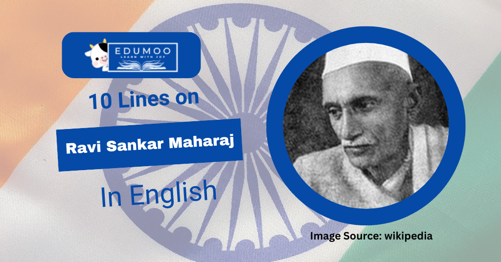 10 Lines On Ravi Sankar Maharaj